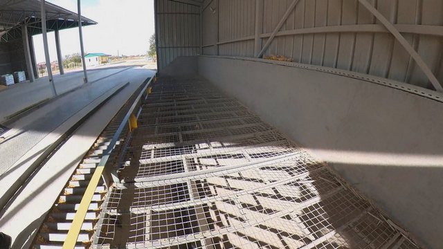 Компанија Агро Оптимум - Равње 7